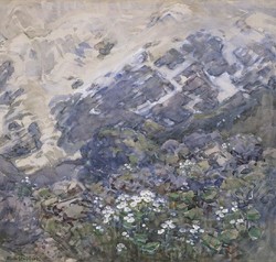 Mountain Lilies