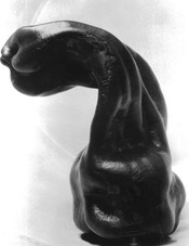 <p>Edward Weston</p>
