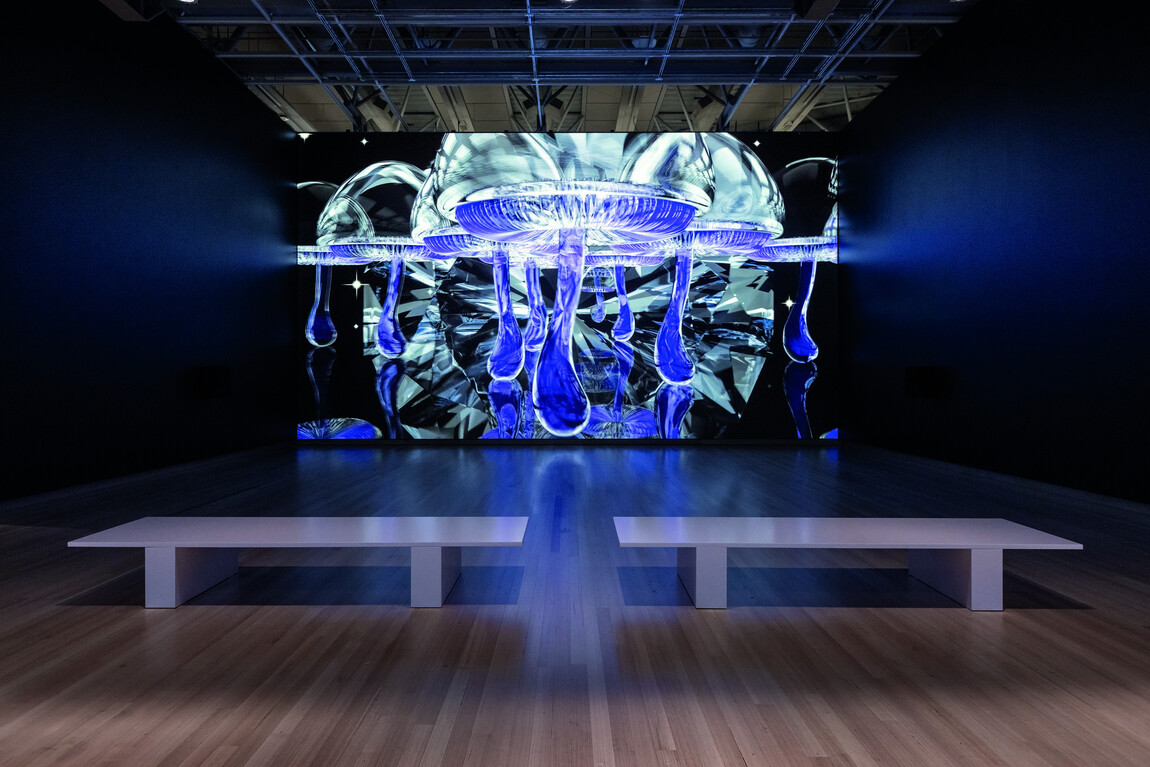 Hye Rim Lee Black Rose (2012–21) in Āke Tonu Atu | Eternity, Te Papa Tongarewa, 2024–5. 3D generalist: Greg Smith. Sound: Ladyfish. Courtesy of Te Papa Tongarewa