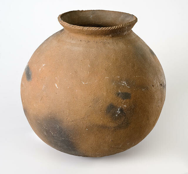 Large Pot