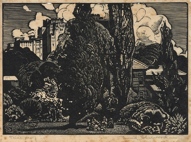 Macquarie Street from the Gardens, Sydney