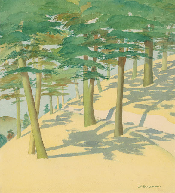 The Zigzag, Nelson, with Pines