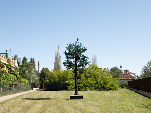 Dane Mitchell Post Hoc (installation view) 2019. Installation. New Zealand Pavilion, 58th International Art Exhibition – La Biennale di Venezia. Courtesy the artist and Mossman Gallery