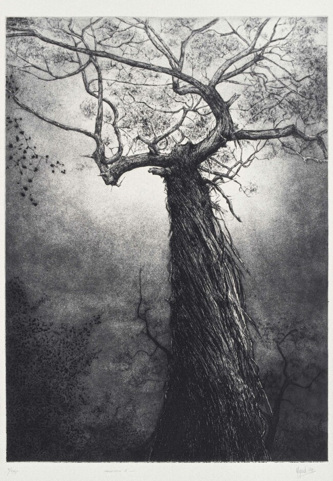 Denise Copland Indigenous IV 1991. Etching, aquatint. Collection of Christchurch Art Gallery Te Puna o Waiwhetū, purchased 1993