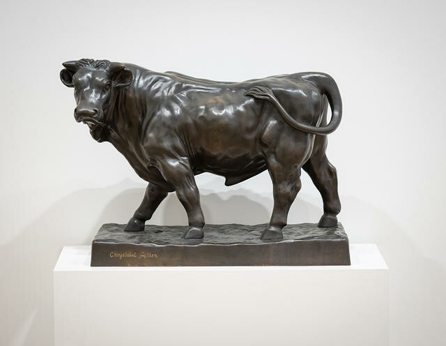 Chrystabel Aitken - A Bull image item