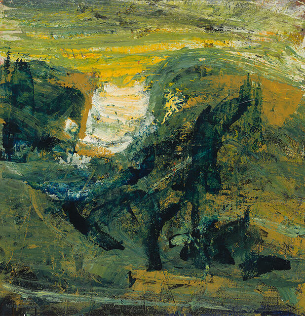 Taranaki Coastal Landscape