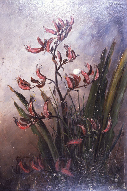 Flowering Flax Bush