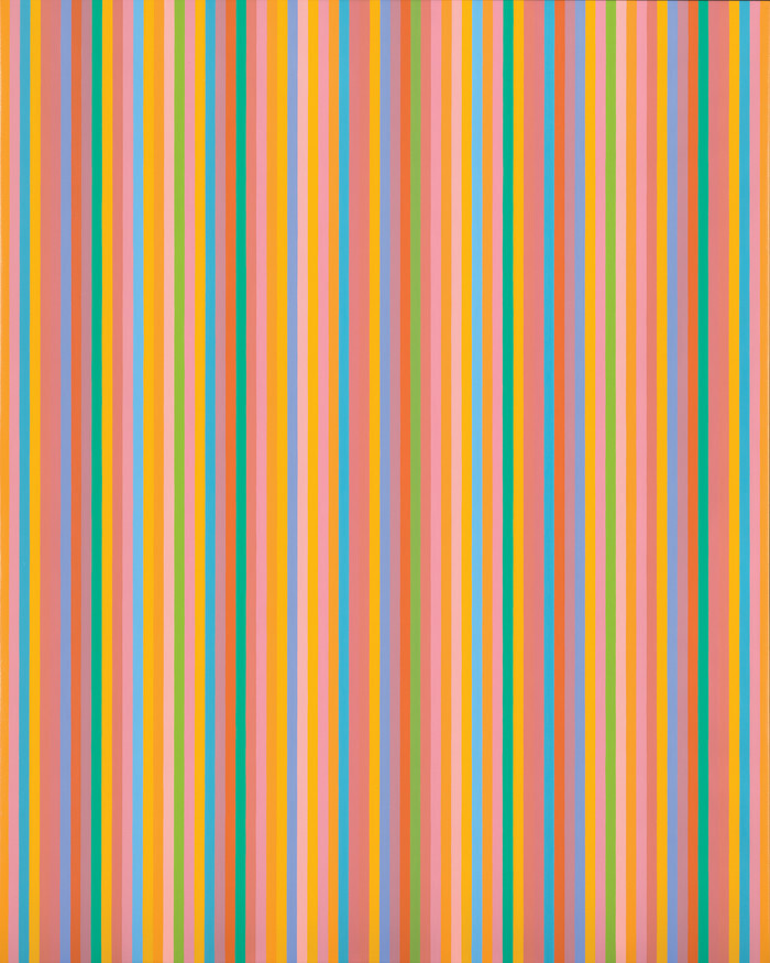 Bridget Riley Feature Tour