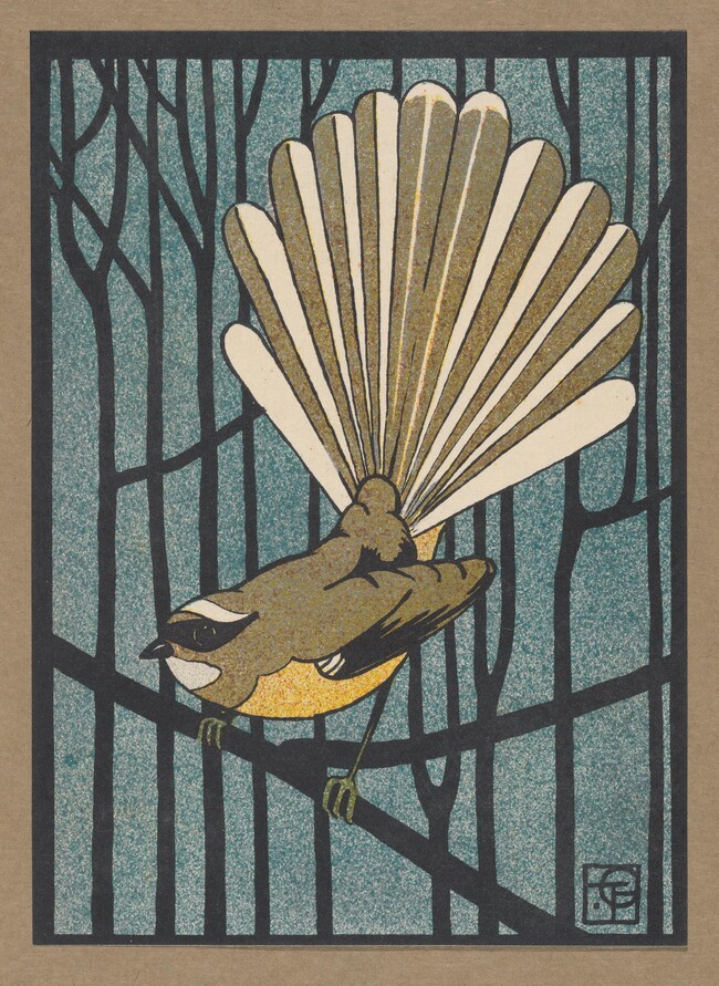 Thomas Gulliver Pied Fantail 1919. Colour lithograph. Collection of Auckland Art Gallery Toi o Tāmaki, transferred from the Auckland Public Library, 1932