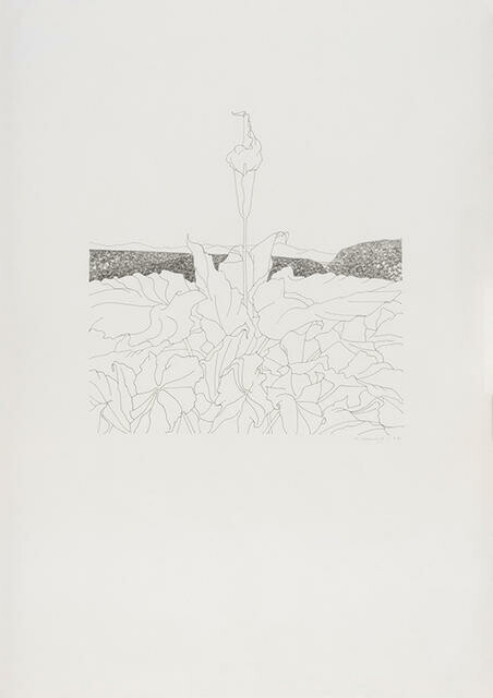 Arum and Westland Landscape