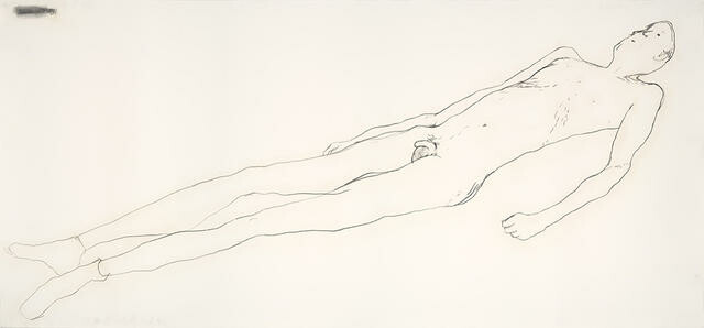 Prone Steve 2