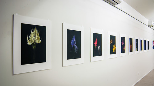 Installation shot showing works by Denise Copland