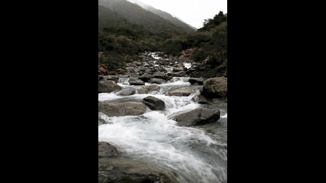 Elliot Collins - Goat Creek 2010