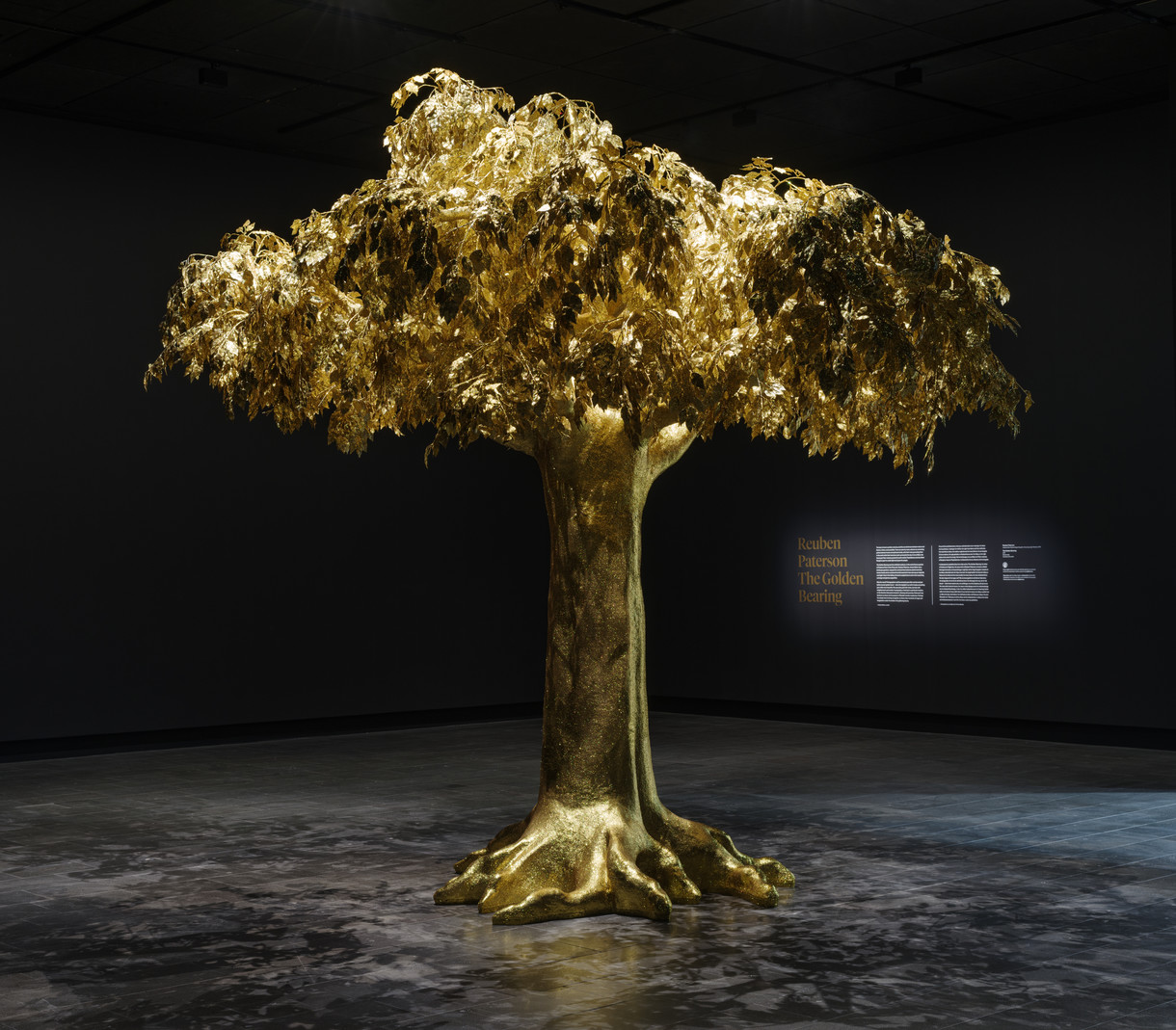 Jacky Bowring: The Golden Bearing and the Looking Glass