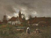 Gathering Beet, Village of Rijnsburg