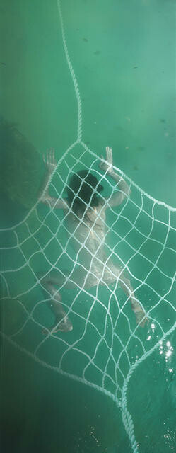 Ponaturi – Collecting seaweed to share