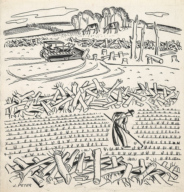 Untitled [Clearing Bush and Hoeing]