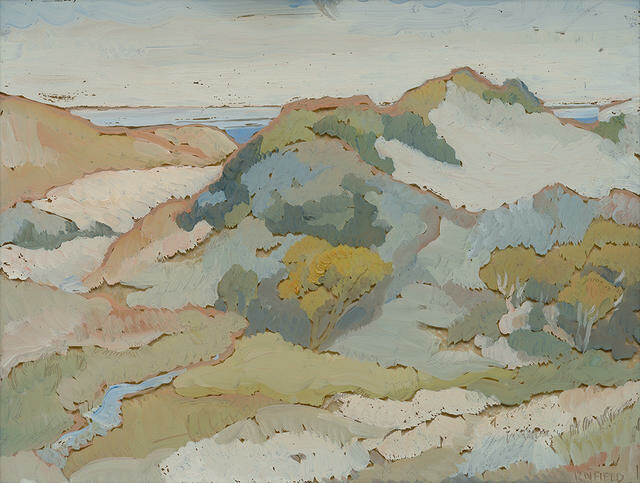 Sand Dunes, Dunedin