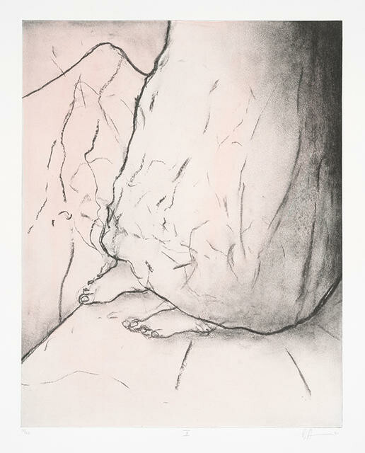X The Disrobing