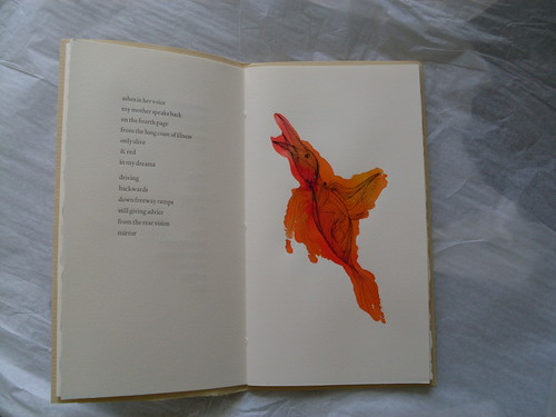 if not in paint by Marion May Campbell, images by Miriam Morris. Printed by Alan Loney.
