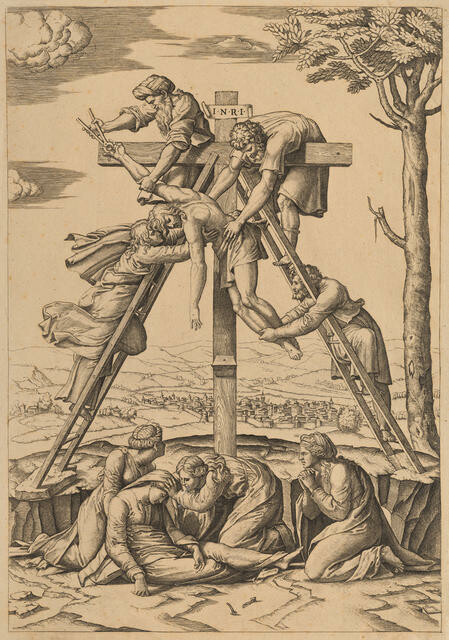 The Deposition