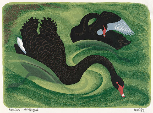 Black Swans