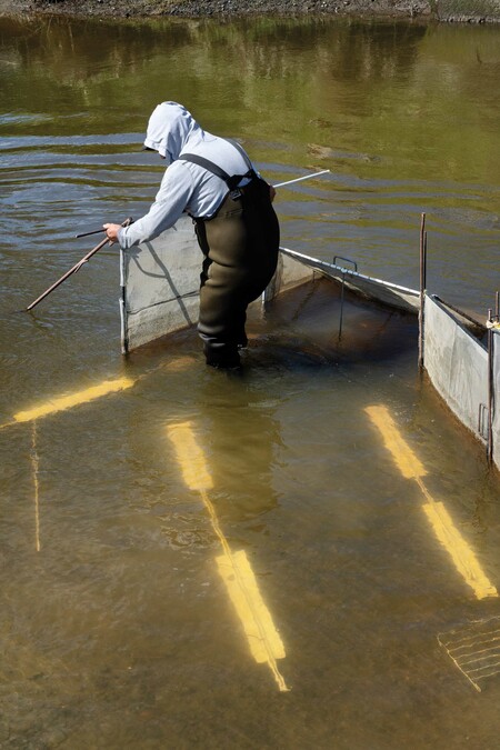 Anne Noble Dominic Murphy, Taranaki Stream, Whanau inanga site 2023. Digital print, pigment on paper. Collection of Te Rūnanga o Ngāi Tahu