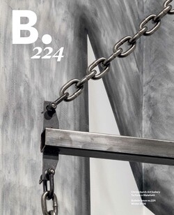 B.224