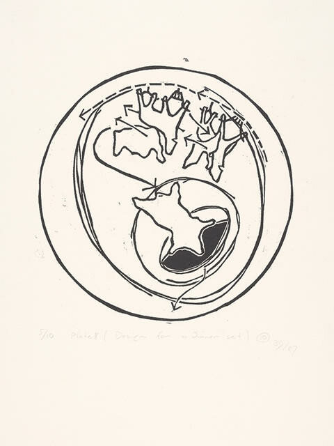 Plate 8
