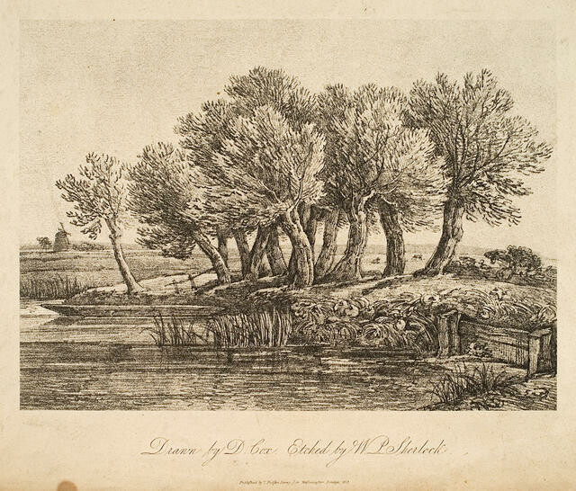 Trees In Landscape With Canal and Windmill