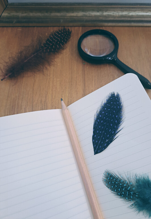 The Case of the Silent Birds