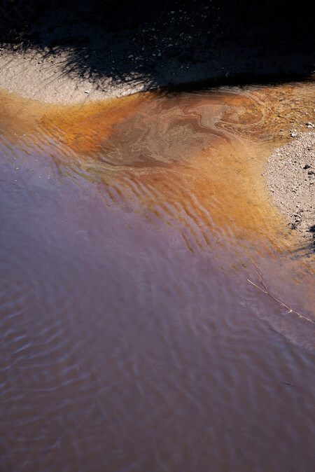 Anne Noble Waihōpai River, Invercargill is one of the many contaminated waterways that feed into Kōreti New River Estuary 2023. Digital print, pigment on paper. Collection of Te Rūnanga o Ngāi Tahu