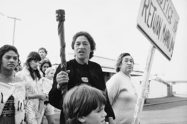 Image: uploads/2025_11/2024_105.jpg