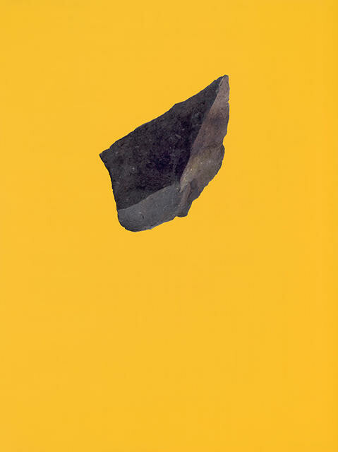 The Accidental Rebels - Yellow