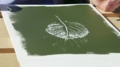 Leaf Etching - Week 2