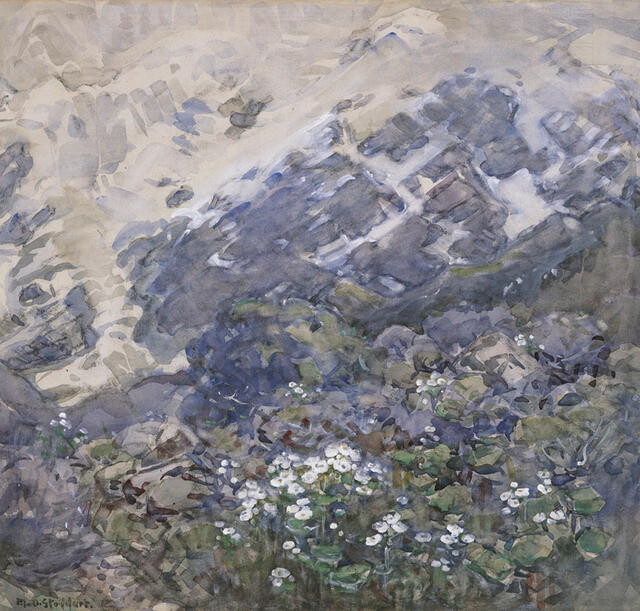 Mountain Lilies