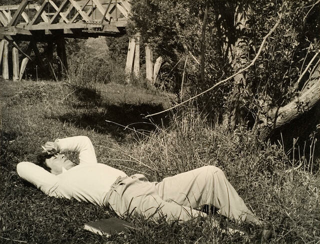 Image: uploads/2025_11/99_229.jpg