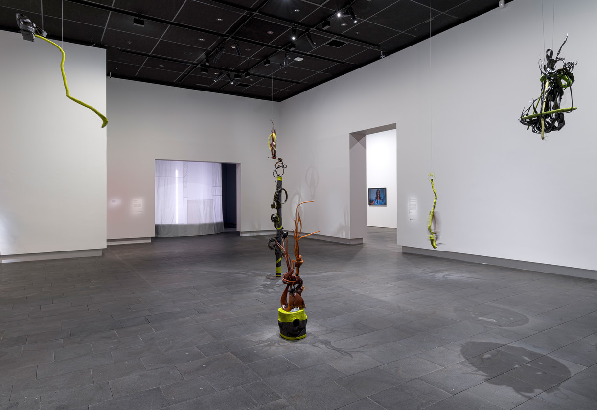 Wai Ata Āta Whāia by Heidi Brickell