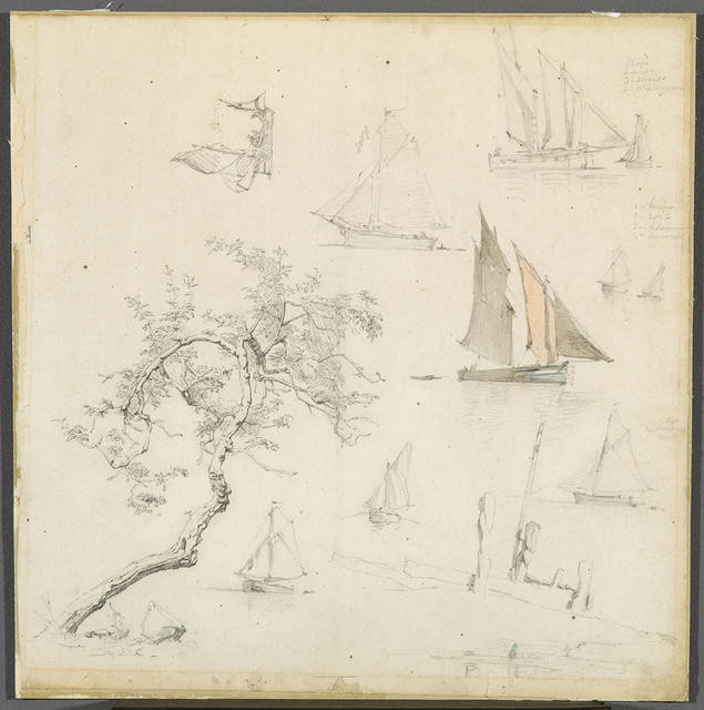 Boats and Tree