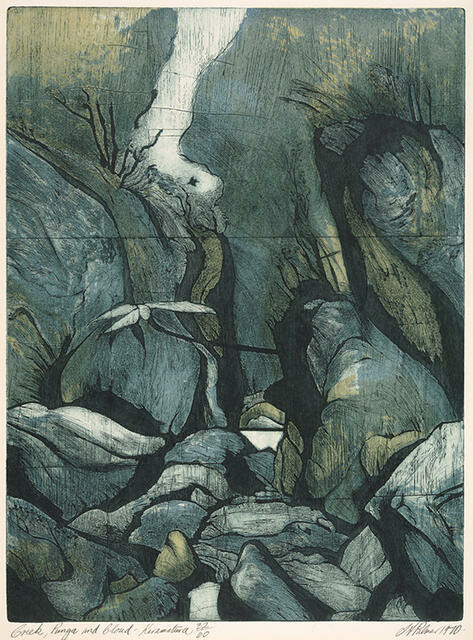 Creek, Punga And Cloud - Karamatura