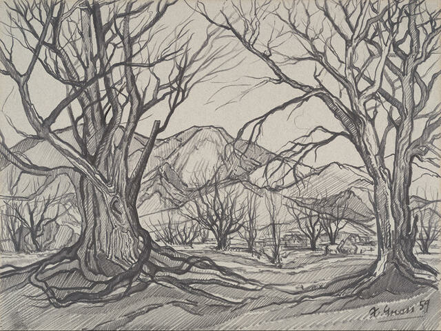Trees