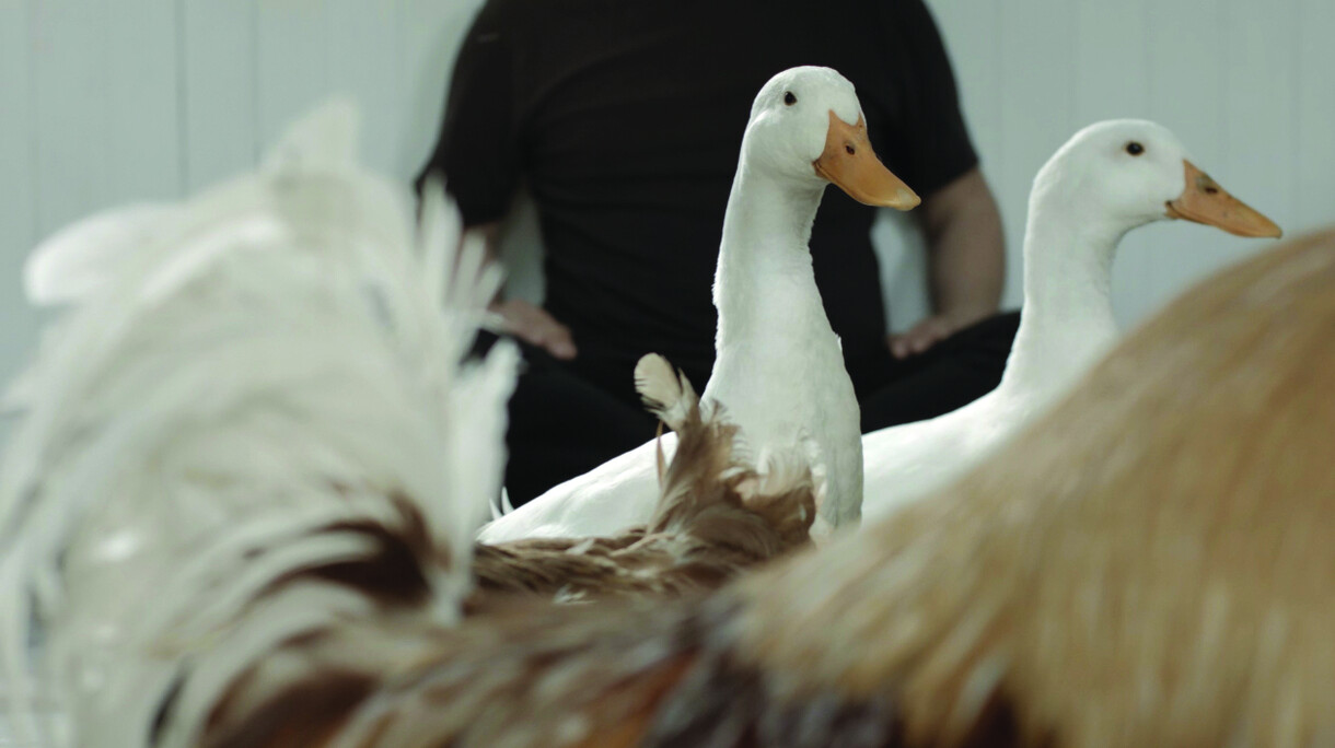 Artist Talk: Shannon Te Ao