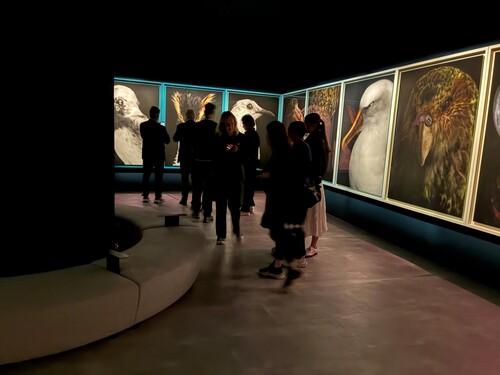 Installation view of Fiona Pardington's Taharaki Skyside, 2026. Photo: Neil Pardington