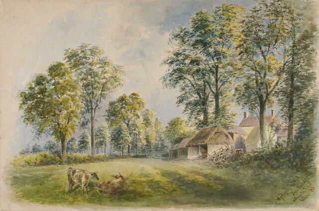 Joe's Meadow Hillmorton Rd