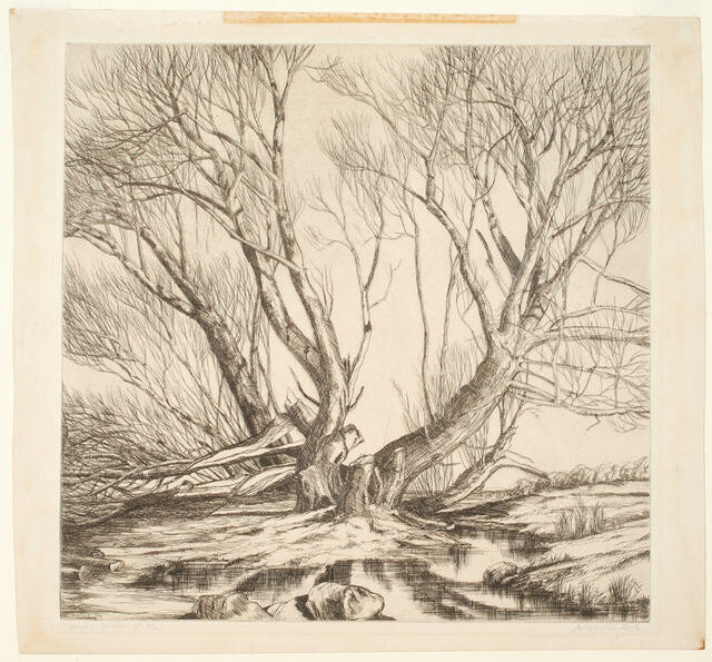 Winter Willows