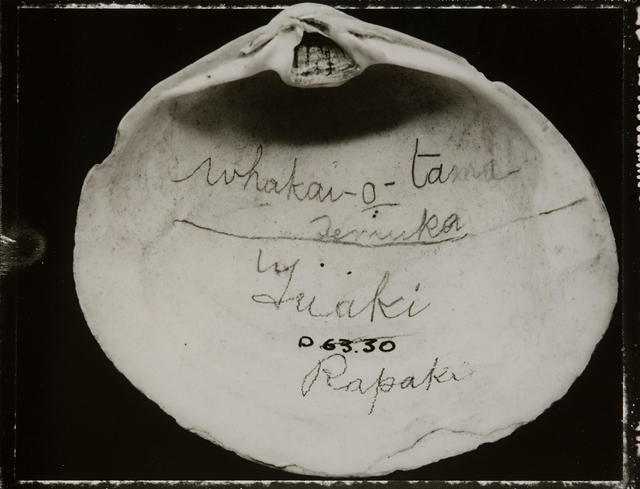 D63.30 Whakai-o-tama, Temuka, Tuaki, Rapaki, Mactra ovata Grey, 1843