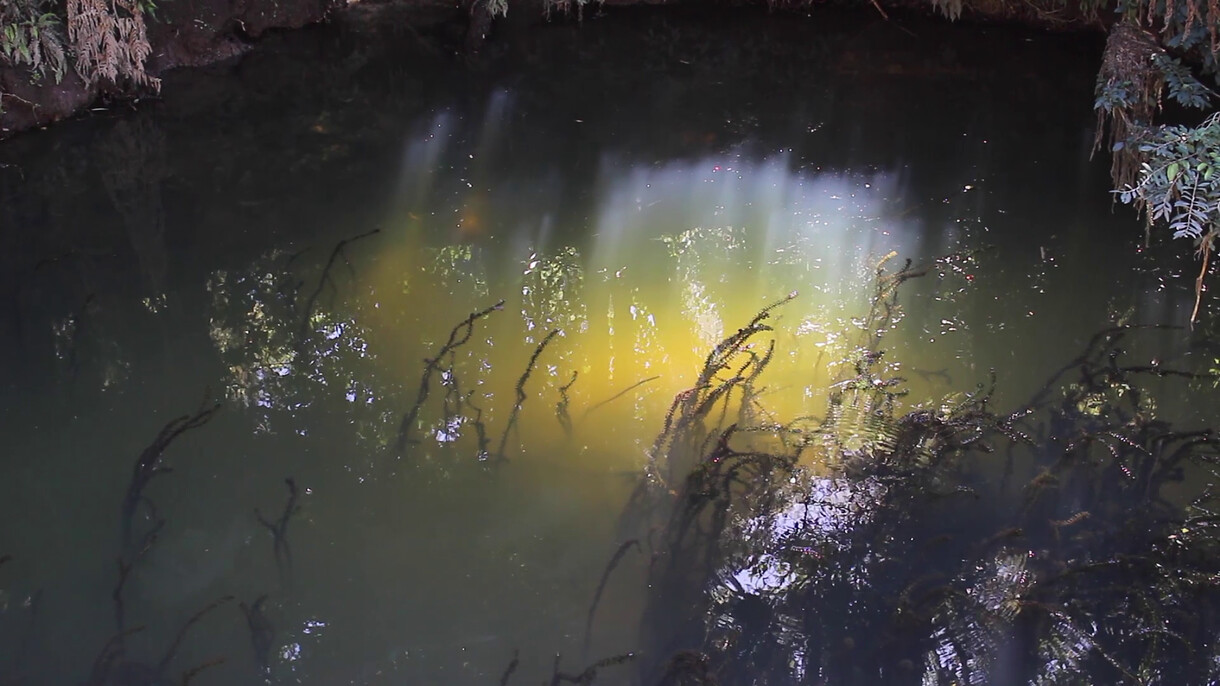 Tuning into Suburban Water Bodies