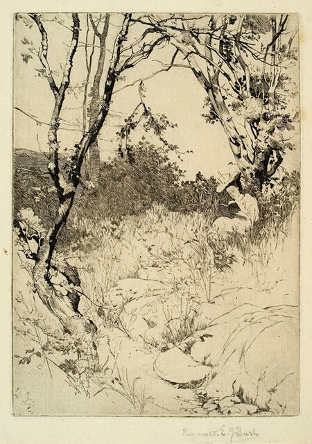 A Girl Reading Under A Tree
