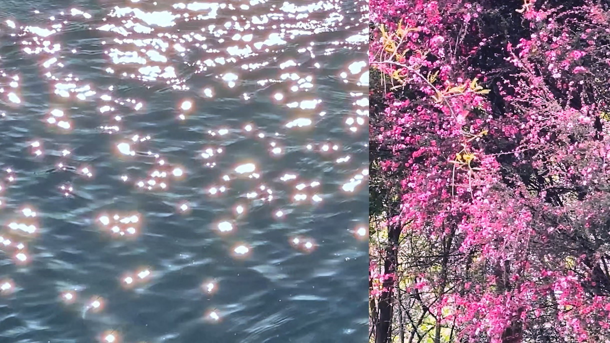 Māori Moving Image: Artist Talk