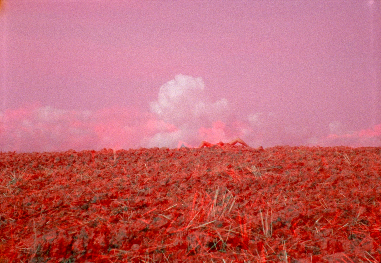 Curator Talk: Spring Time is Heart-break